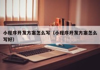 小程序开发方案怎么写（小程序开发方案怎么写好）
