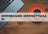 软件开发靠什么挣钱（软件开发这个行业怎么样）