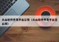 火山软件开发平台公司（火山软件开发平台怎么样）